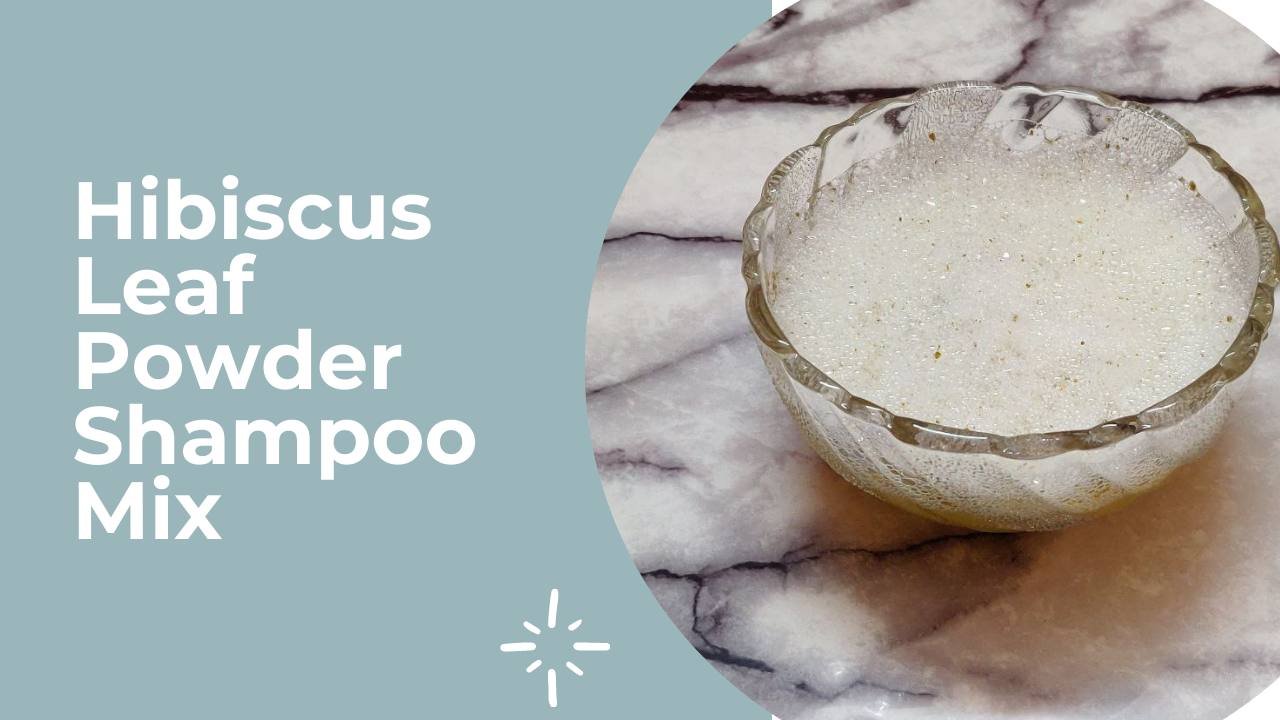Hibiscus Leaf Powder Shampoo Mix